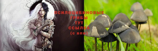 ГАЛЛЮЦИНОГЕННЫЕ ГРИБЫ Волоколамск