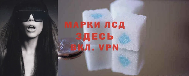 эйфоретик Володарск