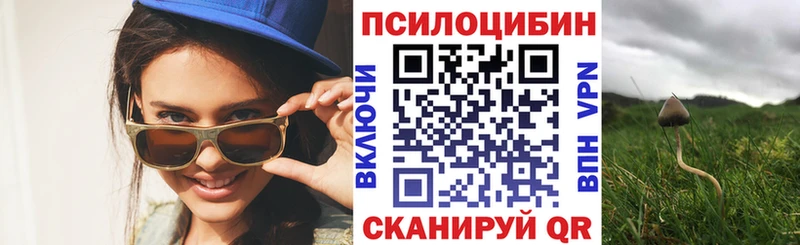 сколько стоит  Саратов  Псилоцибиновые грибы мухоморы 